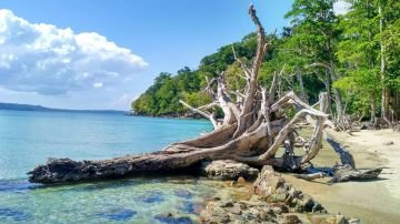 Port Blair, Havelock