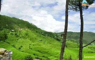 Mussoorie, Jim corbett, Kausani, Nainital