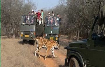 New Delhi, Mathura, Agra, Jim Corbett, Nainital
